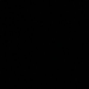 Meet your Posher, Riley